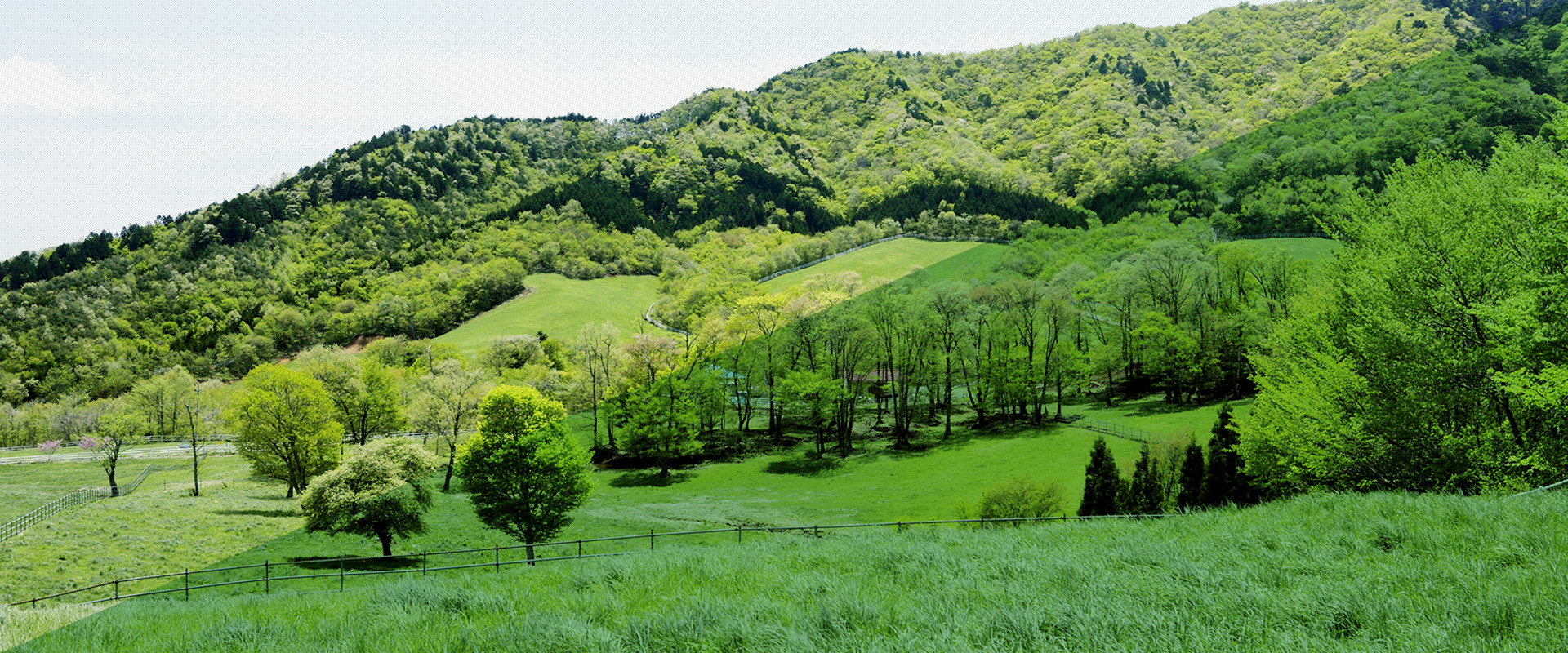 株式会社小山製作所